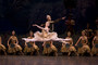 Photo 3 pour LA BAYADERE (COTE DIFFUSION)